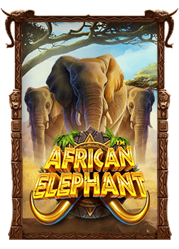 วิธีเล่น slotxo apk ล่าสุด สนุกได้ทุกที่